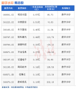 杠杆炒股公司:热点题材数字水印概念是什么？热门概念股有哪些