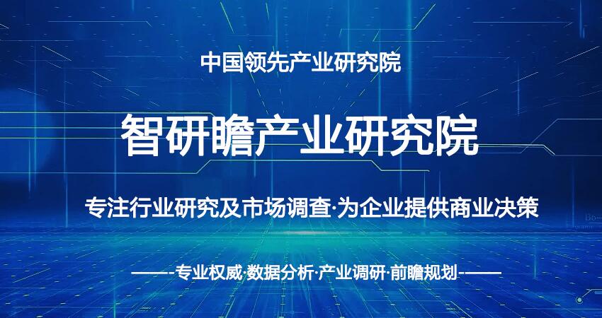 中国橡胶防老剂行业市场投资战略规划分析报告