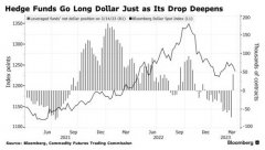 配资开户费用|对冲基金错误看多遭损失美元大势已去？